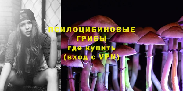 spice Медвежьегорск