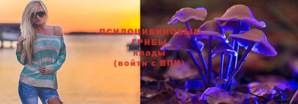 spice Медвежьегорск