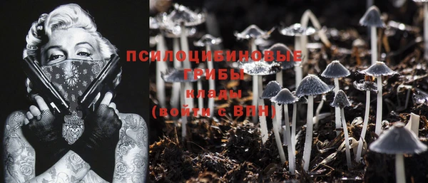 метадон Мегион
